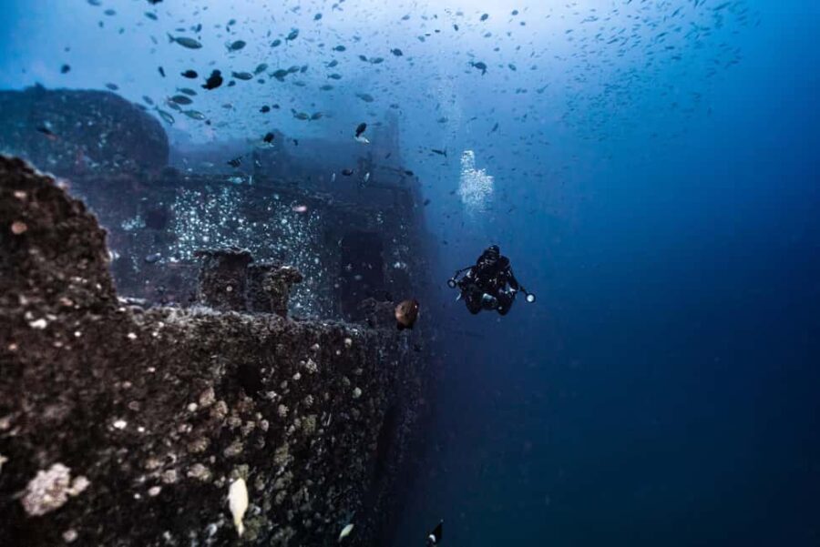 Sunshine Coast: Scuba Dive the Ex-HMAS Brisbane Ship Wreck - Final Thoughts: Is This Tour Right for You?