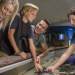 Sunshine Coast: SEA LIFE Sunshine Coast Entry Ticket - Who Should Visit?