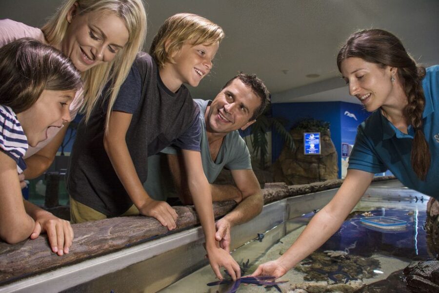 Sunshine Coast: SEA LIFE Sunshine Coast Entry Ticket - Who Should Visit?