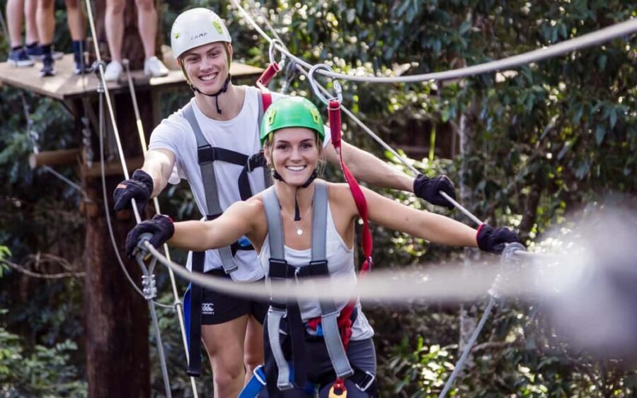 Sunshine Coast: Treetop Challenge Adventure Park - Practical Tips for Visiting