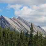 Sunwapta Challenge Whitewater Rafting: Class III Rapids - The Highlights of the Tour