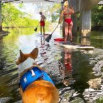 SUP PUP Paddleboard Tour - Who Will Love This Tour?