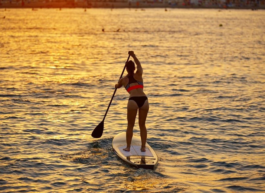 SUP Safari - Catamaran Cruise Dia Island & Gourmet Delights! - Why This Tour Works Well