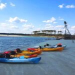 SUP (stand-up paddboard) Salt Marsh Maze Tour - The Value of Guided Eco-Tours in Myrtle Beach