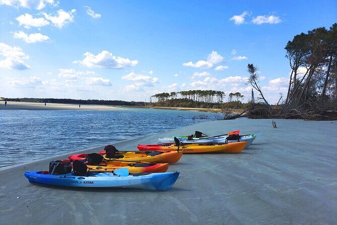 SUP (stand-up paddboard) Salt Marsh Maze Tour - The Value of Guided Eco-Tours in Myrtle Beach
