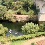 SUP TOUR - Explore Porto´s surroundings on a SUP Board - What to Expect During the Tour