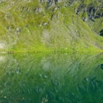 SUPER TOUR: Top Gear Road with Wild Bears Sightseeing - A Detailed Look at the Tour Experience