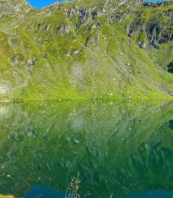 SUPER TOUR: Top Gear Road with Wild Bears Sightseeing - A Detailed Look at the Tour Experience