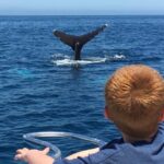 Superior 2hr Private Whale & Dolphin Watching Newport Beach - Who Will Love This Tour?