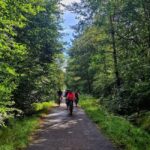 Surbourg: Electric bike rental by the day - Final Thoughts