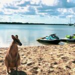 Surfers Paradise 30 Minute Jet Ski Tour - Who Will Love This Tour?