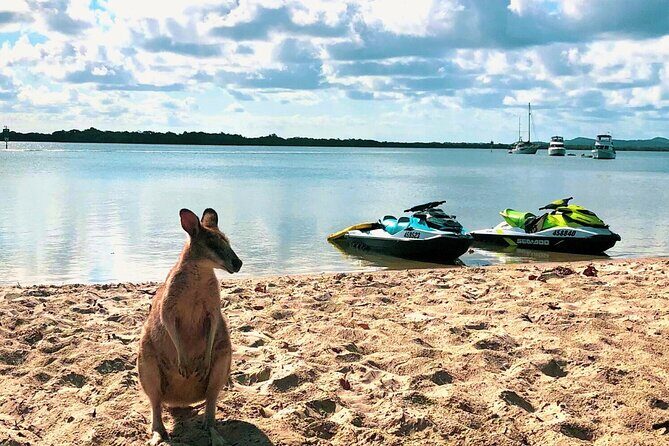 Surfers Paradise 30 Minute Jet Ski Tour - Who Will Love This Tour?