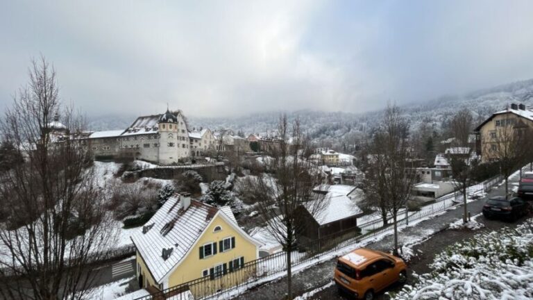 Surprise tour of Bregenz guided by a Local - Exploring Bregenz with a Local: A Detailed Review
