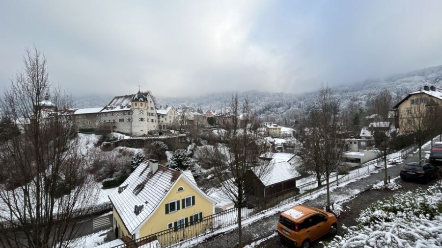 Surprise tour of Bregenz guided by a Local - Exploring Bregenz with a Local: A Detailed Review