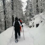 Susa Valley at dawn: snowshoeing in nature and silence - Final Thoughts: Is This Tour for You?
