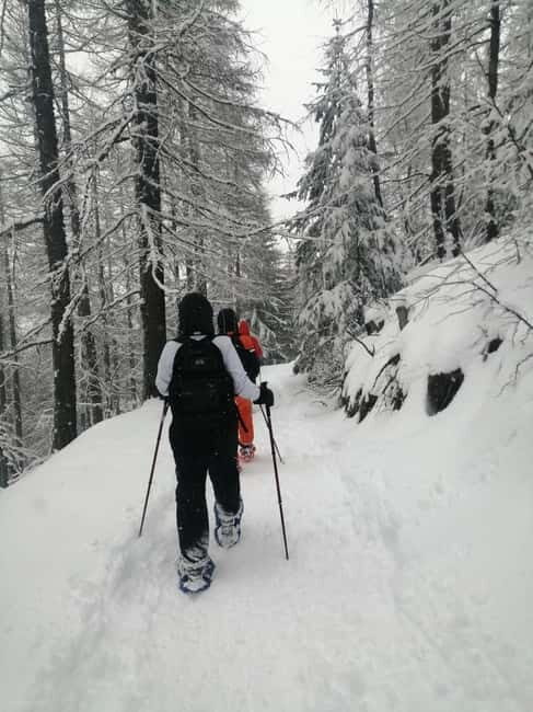 Susa Valley at dawn: snowshoeing in nature and silence - Final Thoughts: Is This Tour for You?