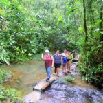 Suva Customized tour- Private - A Deep Dive into the Itinerary