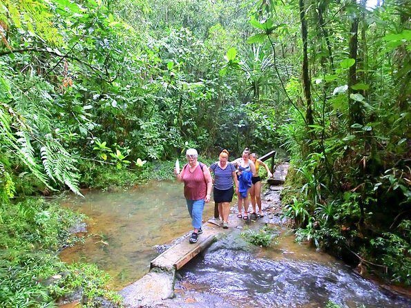 Suva Customized tour- Private - A Deep Dive into the Itinerary