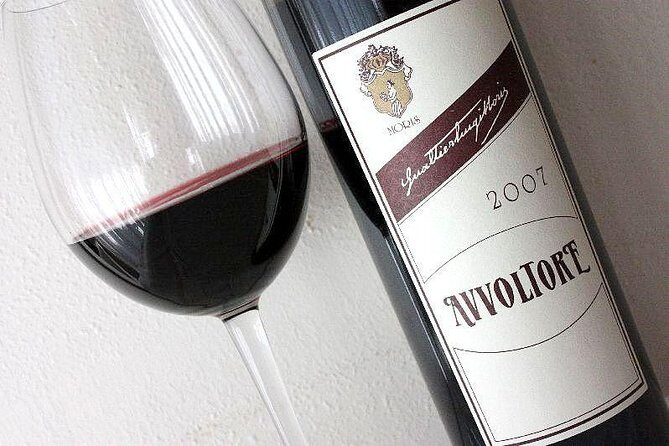 Suvereto Wine Experience PRIVATE TOUR from SIENA - Transportation and Comfort