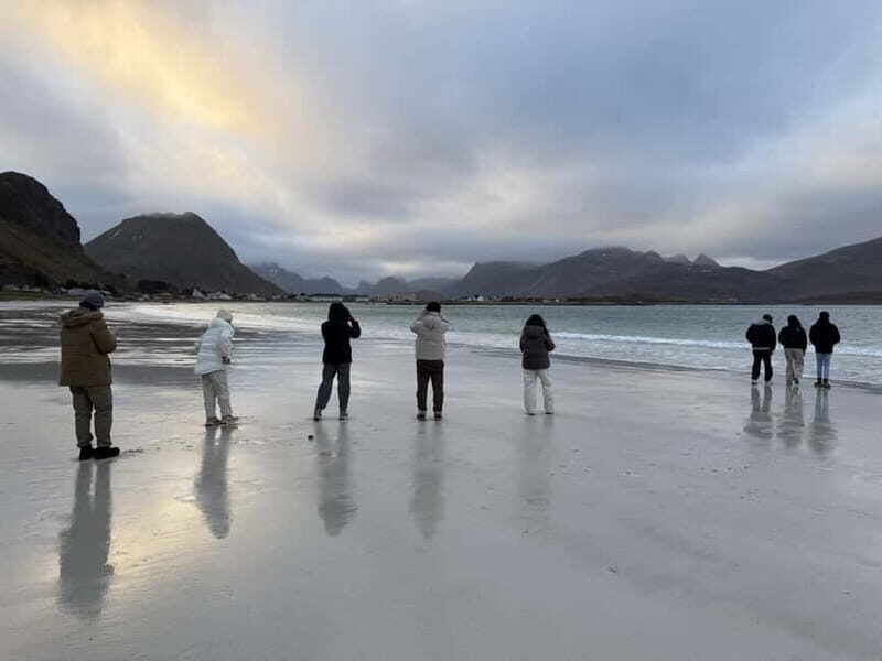Svolvær: Lofoten Islands Full-Day Guided Tour - Practical Details and What to Expect