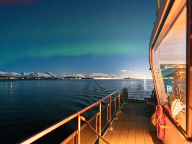 Svolvær: Northern Lights and Full Steam Cruise with Tasting - Who Should Consider This Tour?