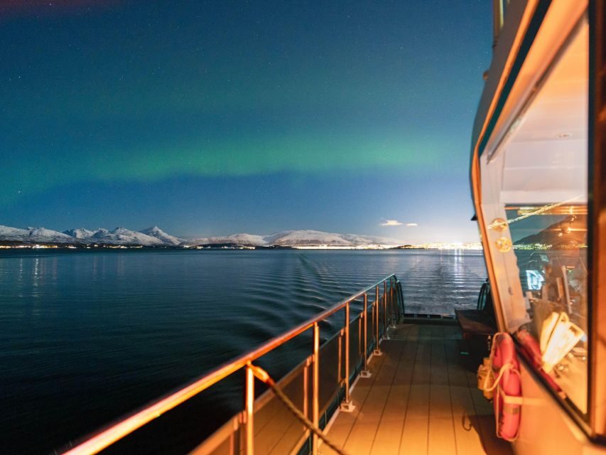 Svolvær: Northern Lights and Full Steam Cruise with Tasting - Who Should Consider This Tour?