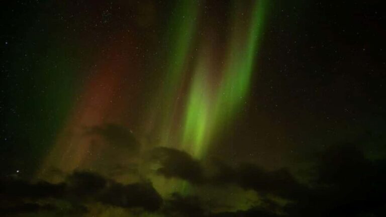 Svolvær: Northern Lights Tour with Hot Drinks & Photos - A Detailed Look at the Northern Lights Tour in Svolvær