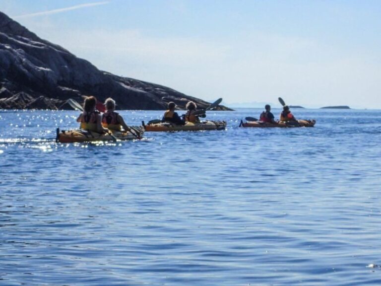 Svolvaer: Sea Kayaking Experience - Who Should Consider This Tour?