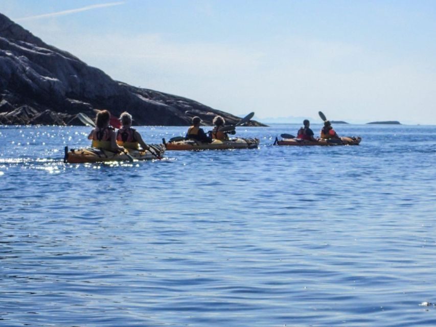 Svolvaer: Sea Kayaking Experience - Who Should Consider This Tour?