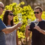 Swan Valley Boutique Wine Tour: Half-Day Small Group Experience - The Itinerary: What to Expect