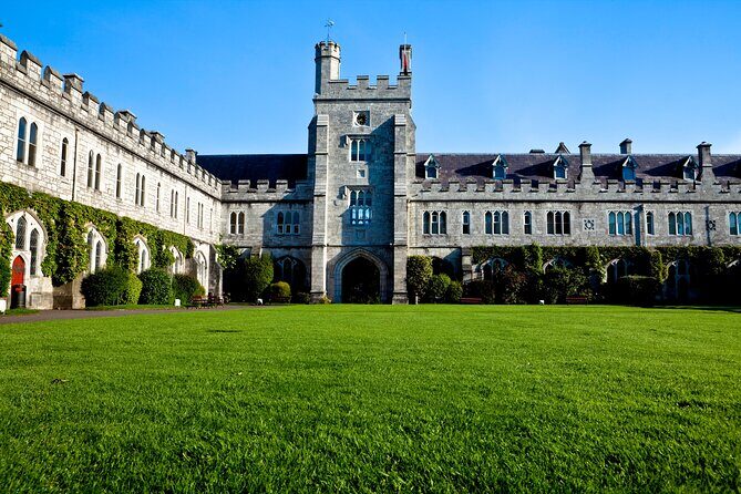Sweet Strolls: A Private Family Walking Tour in Cork - The Guide and Overall Experience