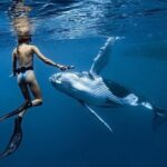 Swim in Moorea with Humpback Whales and More - What to Expect on the Tour