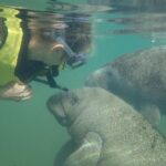Swim with Manatees: Eco-Educational Tour in Crystal River - Practical Considerations and Tips