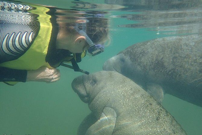 Swim with Manatees: Eco-Educational Tour in Crystal River - Practical Considerations and Tips