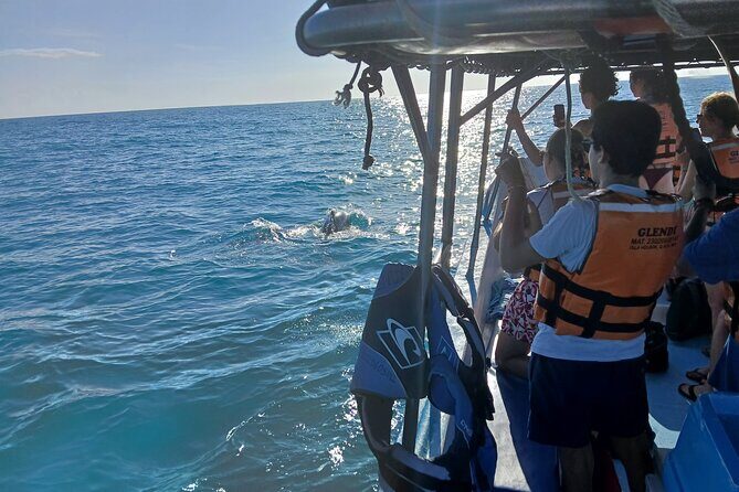 Swim with the Whale Shark on Holbox Island - What the Tour Includes and What it Doesnt