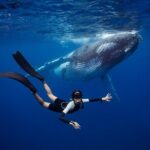 Swim with Whales in Gold Coast - Is This Tour Worth It? Who Will Love It?