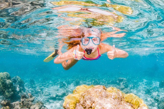 Swimming with the Whale Sharks - Ningaloo Reef (Exmouth) - Authentic Experiences from Guest Reviews