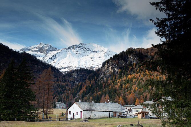 Swiss Alps Bernina Red Train and St.Moritz Tour from Milan - Who is This Tour Best For?