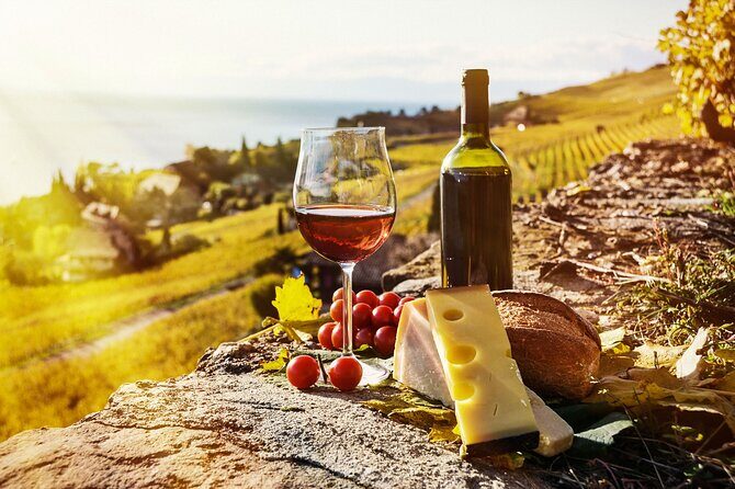 Swiss Wine Tasting at Lavaux Vineyards: Private Trip from Geneva - The Scenic Drive and the Guide’s Role