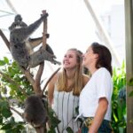 Sydney Attractions Pass: SEA LIFE Aquarium, Sydney Tower Eye, WILD LIFE Zoo and Madame Tussauds - FAQs