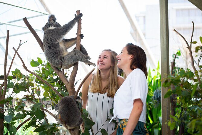 Sydney Attractions Pass: SEA LIFE Aquarium, Sydney Tower Eye, WILD LIFE Zoo and Madame Tussauds - FAQs