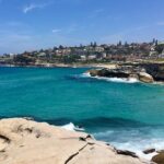 Sydney Beaches Half Day Drive and Walk Tour - Why This Tour is Worth Your Money