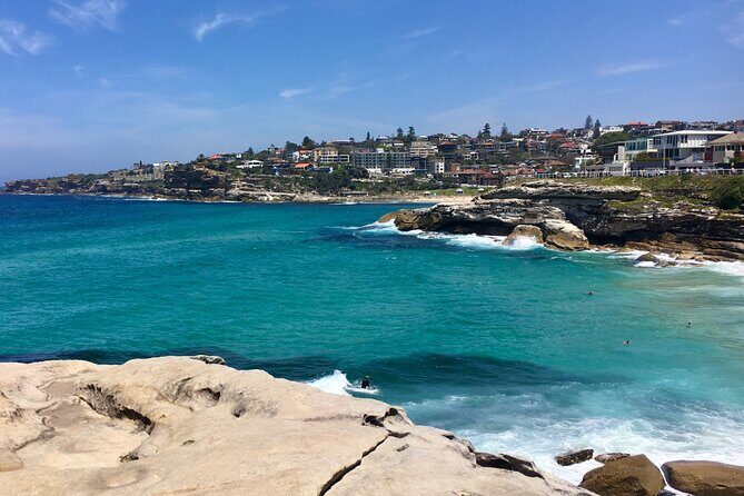 Sydney Beaches Half Day Drive and Walk Tour - Why This Tour is Worth Your Money