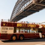 Sydney: Big Bus Hop-On Hop-Off Tour with Optional Cruise - The Routes and Stops: What’s in Store