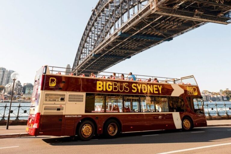 Sydney: Big Bus Hop-On Hop-Off Tour with Optional Cruise - The Routes and Stops: What’s in Store