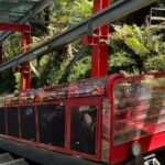 Sydney Blue Mountains Full Day Tour with Return Harbour Cruise - Who Will Love This Tour?