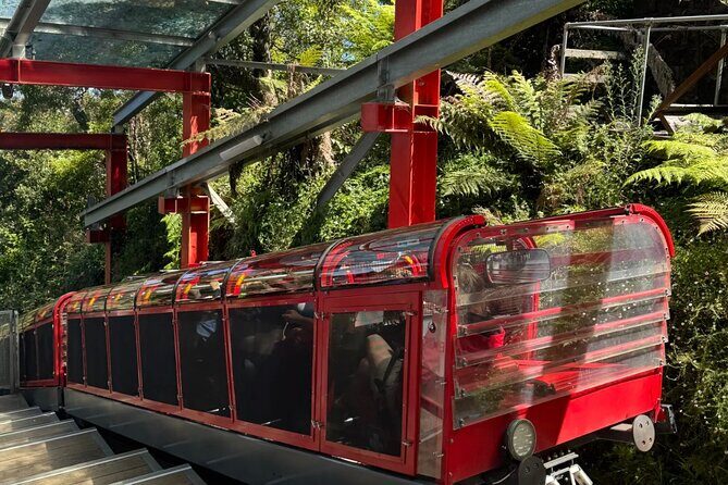 Sydney Blue Mountains Full Day Tour with Return Harbour Cruise - Who Will Love This Tour?
