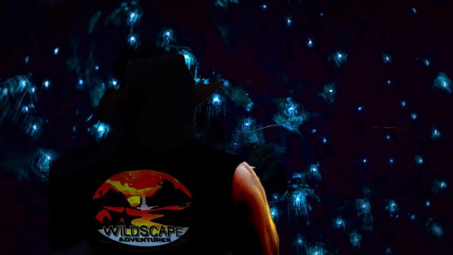Sydney: Blue Mountains Glow Worms Wild Adventure by Night - The Sum Up