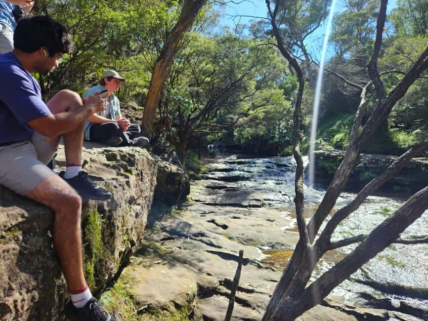 Sydney: Blue Mountains Guided Hike with Lunch & Pickup - In-Depth Review: What to Expect from the Blue Mountains Guided Hike