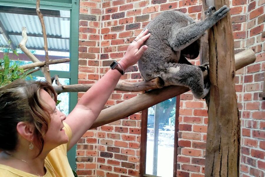 Sydney: Blue Mountains Late Start, Walks Waterfalls & Koalas - Exploring the Itinerary: A Day in the Blue Mountains